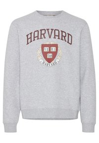 Grijze sweatshirt met lange mouwen, met de tekst "HARVARD" in kastanjebruin boven een wapen met "VERITAS" en decoratieve lauwerbladen.