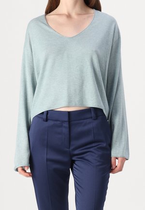 Vrouw die een lichtblauwe cropped top met lange mouwen en een marineblauwe, hooggetailleerde, op maat gemaakte broek draagt, tegen een effen achtergrond.