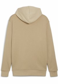 Puma POWER GRAPHIC - Jersey con capucha - prairie tan