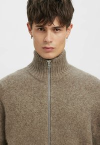 Brūns adīts džemperis ar augstu ribotu apkakli un sudrabotu rāvējslēdzēja aizdari. Tekstūra šķiet mīksta un pūkaina.