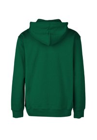 Green hoodie, cotton material, features a hood, long sleeves, and ribbed cuffs. The back is smooth with no additional details.