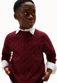 Maglione lavorato a maglia bordeaux con motivo a trecce, colletto e polsini a coste, con un logo blu marino sul petto sopra una camicia bianca con colletto.