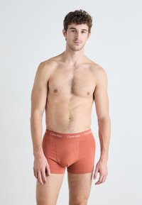 Boxer da uomo in cotone arancione ruggine con un elastico con logo Calvin Klein. Texture liscia e design aderente.