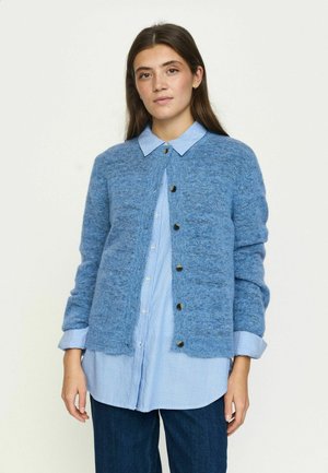 Femme aux longs cheveux bruns portant un cardigan bleu boutonné sur une chemise bleu clair à col et un pantalon bleu foncé, debout devant un fond uni.