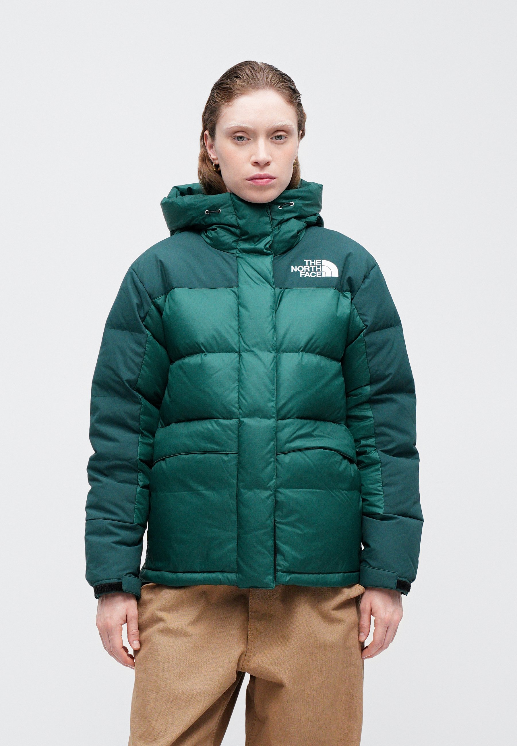 THE NORTH FACE ダウンジャケット GREEN DOWN The North Face Down jacket - hunter green/green - Zalando.co.uk