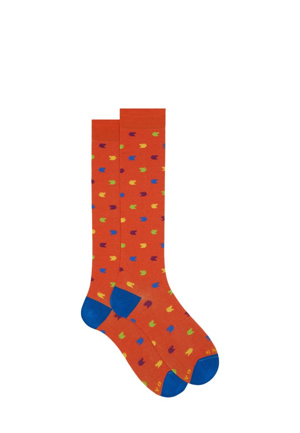 Kniestrümpfe - arancio