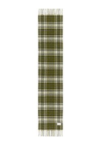 Groen-witte geruite sjaal gemaakt van zachte stof, met franjes aan de randen en een rechthoekige vorm.