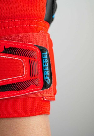 Rode sportieve polsondersteuning gemaakt van elastische stof. Beschikt over een zwart-blauwe Freegel patch met een gestreept patroon en een verstelbare band.