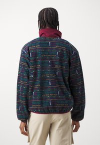 Columbia SEQUOIA GROVE™ HALF ZIP - Sweat polaire - collegiate navy horizons