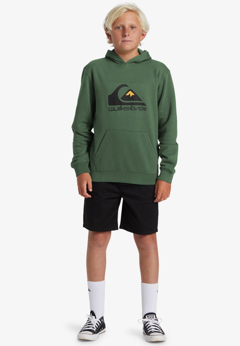 Quiksilver BIG LOGO  - Felpa con cappuccio - frosty spruce