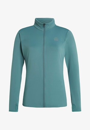 Protest PRTPEEPAL - Sweater met rits - laurelgreen