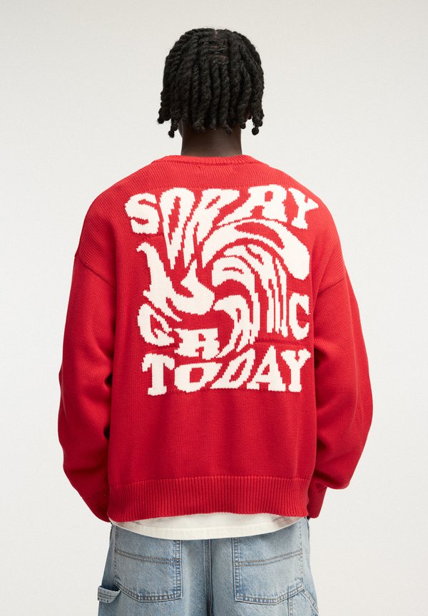 WITH GRAPHIC  - Strickpullover