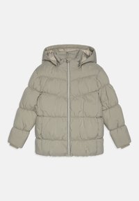 Neizvēlēts, seagrass