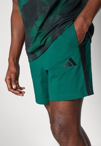 Grønne treningsshorts med svarte side-striper og Adidas-logo. Laget av et glatt stoff med en avslappet passform og en enkel, funksjonell design.