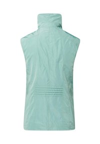 GOLDNER LEICHTE MIT EDLEM SCHIMMER - Weste - mint