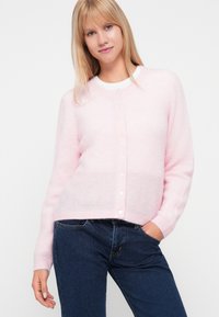 Šviesiai rožinė megztinė, pagamintas iš minkštos, pūkuotos medžiagos, su apvaliu iškirpimu, ilgomis rankovėmis ir baltais mygtukais priekyje. Dėvimas virš džinsų.