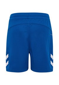 Pantalones cortos deportivos azules con cintura elástica y patrones blancos en forma de cheurón en cada lado exterior de las piernas, vistos desde atrás.