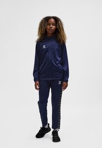Navy tracksuit with zippered hoodie and pants, featuring a logo on the chest and chevron stripes on the sides. Black athletic shoes.