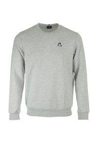 Felpa grigia chiara realizzata in tessuto morbido, con collo rotondo, maniche lunghe e un piccolo logo ricamato colorato sul petto.