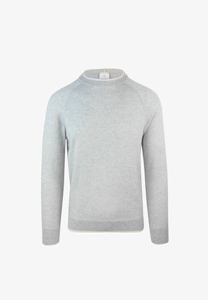 Felpa grigia chiara realizzata in tessuto morbido, con collo a giro, maniche raglan e polsini e orlo a costine. Nessun motivo o accento visibile.