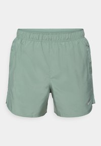 CHALLENGER - Sports shorts - clay green/black/reflective silver-coloured