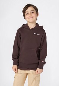 Brun hettegenser laget av mykt stoff med en frontlomme og et logo på brystet. Har snor i hetta og ribbestrikkede mansjetter. Båret over beige bukser.