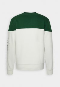 Groen-witte sweatshirt met een kleurblokontwerp, lange mouwen, geribbelde boorden en een bedrukt logo-accent op de linker mouw.