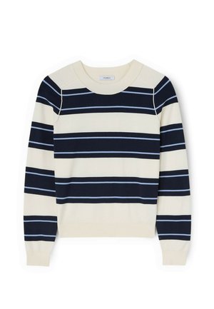 Beiger und marineblauer Langarmpullover mit breiten horizontalen Streifen und dünneren hellblauen Linien quer über Brust und Ärmel.