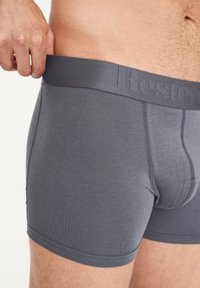 Boxer briefs grises hechas de tela suave, con una amplia cintura elástica y marca en relieve, y un diseño ajustado.