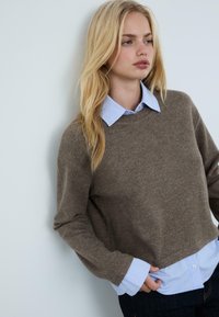 Brauner Strickpullover mit Rundhalsausschnitt über einem hellblauen gestreiften Hemd mit Kragen, lange Ärmel und gerader Schnitt.