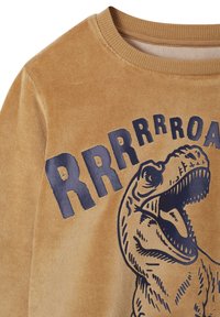 Brown sweatshirt with ribbed neckline features a blue dinosaur graphic and bold "RRRRROAR" text printed across the chest. Soft, textured fabric.