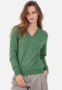 Pull en laine verte avec un col en V, des poignets ajustés et un ourlet côtelé. Texture douce et finition lisse qui complètent les styles décontractés ou formels.