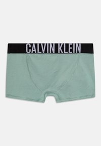 Mintegrøn boksertruser med en sort livrem som har "CALVIN KLEIN" i hvitt. Mykt stoff med en tettsittende passform og distinkt søm.