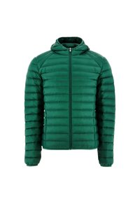 Groene pufferjack met capuchon, voorzien van een gequilt design, volledige rits aan de voorkant en lange mouwen. Gemaakt van lichtgewicht, gladde materialen.
