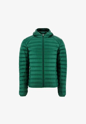 Veste rembourrée verte avec capuche, présentant un design matelassé, une fermeture éclair sur toute la longueur devant et des manches longues. Fabriqué en matériau léger et lisse.