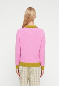 Maglione rosa lavorato a maglia con collo e orlo a coste verdi. Presenta maniche lunghe e una forma leggermente aderente. Indossato con pantaloni a quadri.