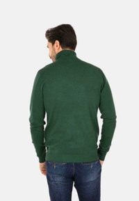 Maglione verde a collo alto lavorato a maglia con polsini e orlo a costine, abbinato a jeans in denim blu. Vista dal retro che mette in mostra il design del colletto.