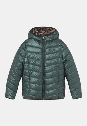 Vingino, TIRZE - Veste d'hiver - dark green