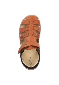 Sandalia de cuero bronceado con tiras perforadas, cierre ajustable de Velcro y plantilla acolchada. Punta redondeada y acentos en azul marino.