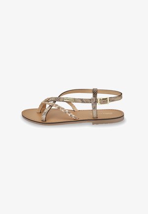 Flat sandals with a beige snakeskin-patterned strap design, featuring braided detailing and a gold-tone buckle on a light brown sole.