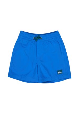 Leuchtend blaue Badehose mit elastischem Bund, grünem Kordelzug, Seitentaschen und kleinem Logo-Patch am unteren rechten Bein.