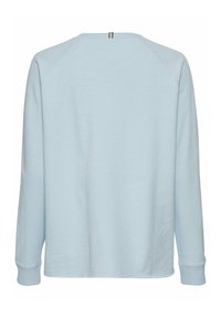 Jasnoniebieska bluza z długim rękawem o gładkiej fakturze, z rękawami raglanowymi i małym paskowanym detalem na plecach przy szyi.
