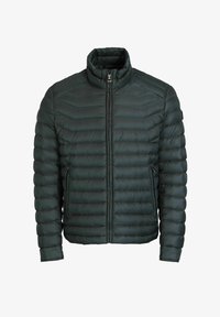 Unausgewählt, grün