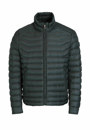 Dunkelgrüne Steppjacke mit einem durchgehenden Reißverschluss, hohem Kragen und horizontalen Quiltmustern. Verfügt über seitliche Reißverschlusstaschen und glattes, glänzendes Material.