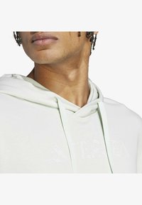 Hellgrüner Kapuzenpullover mit Kordelzug, besticktem Logo und weicher Textur. Das Design legt den Fokus auf Einfachheit und Komfort.