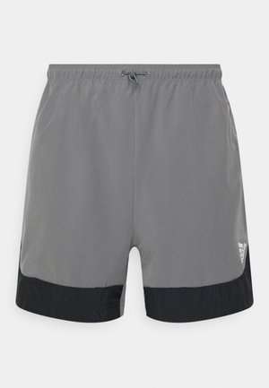 TRAINING MEN - Urheilushortsit - greyfour/black/white