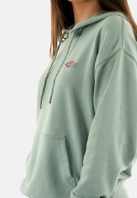 Sudadera verde hecha de una tela suave, con un bolsillo canguro, cordones ajustables y un pequeño logo colorido en el pecho.