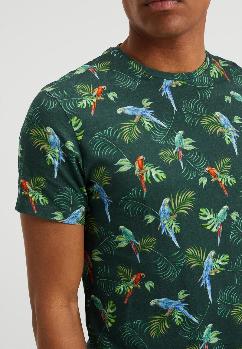 Herren T-Shirts basic | WE Fashion T-Shirt print green/grün - QZ83603 Herren T-Shirts basic | WE Fashion T-Shirt print green/grün - QZ83603
