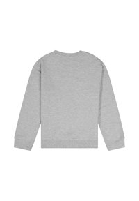 Grauer Sweatshirt mit langen Ärmeln, Rundhalskragen und gerippten Bündchen. Glatte Textur, lässiges Design und leicht verkürzte Länge.