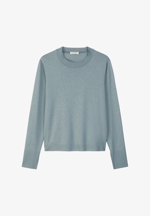 Pull à manches longues bleu clair avec un col rond. Texture douce et lisse, avec des poignets et un ourlet côtelés. Design simple, sans motifs ni accents.
